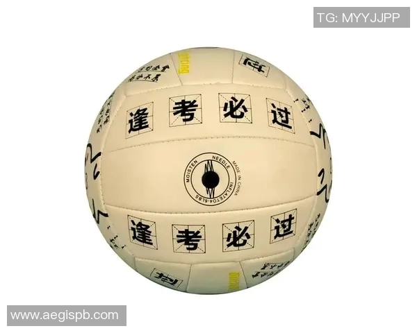 杨丽独家分享排球心得与技巧助你提升球技的完美指南