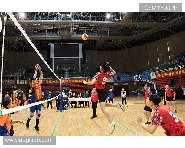 成都排球队的蜕变与成长：从传统到现代的排球纪实之旅