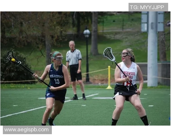 深圳飞盘队耐力对比深度解析与训练方法探讨