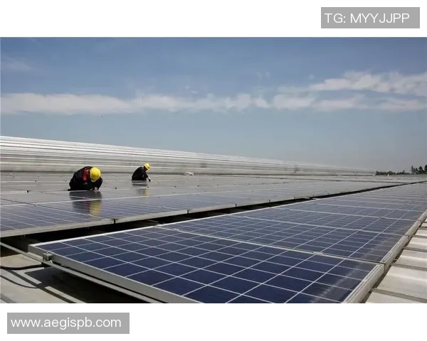 亚马尔地区资源开发与气候变化对全球能源格局的影响研究