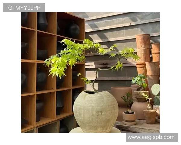 盆栽艺术之美:探索植物养护与室内装饰的完美融合与创意表达