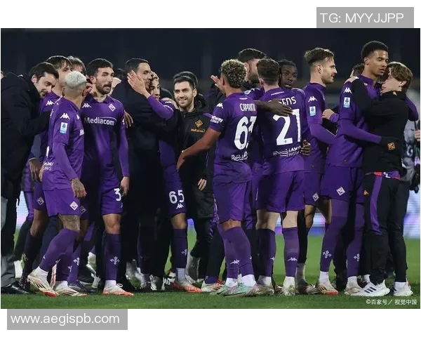 意甲所有球队的主场名称、位置及容量总表