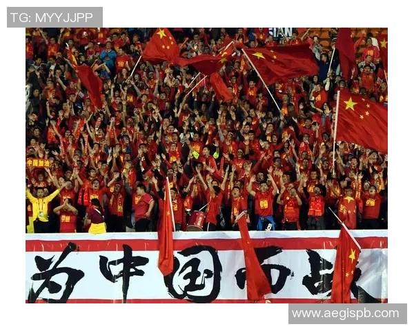 中国足球明星娱乐赛盛况空前球迷齐聚共庆足球激情与友谊之夜